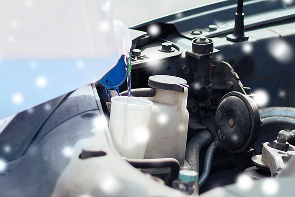 Produktbild Frostschutz