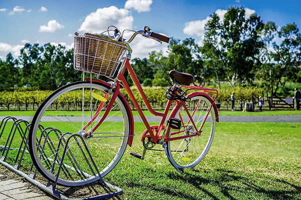 City- und Trekkingbike 