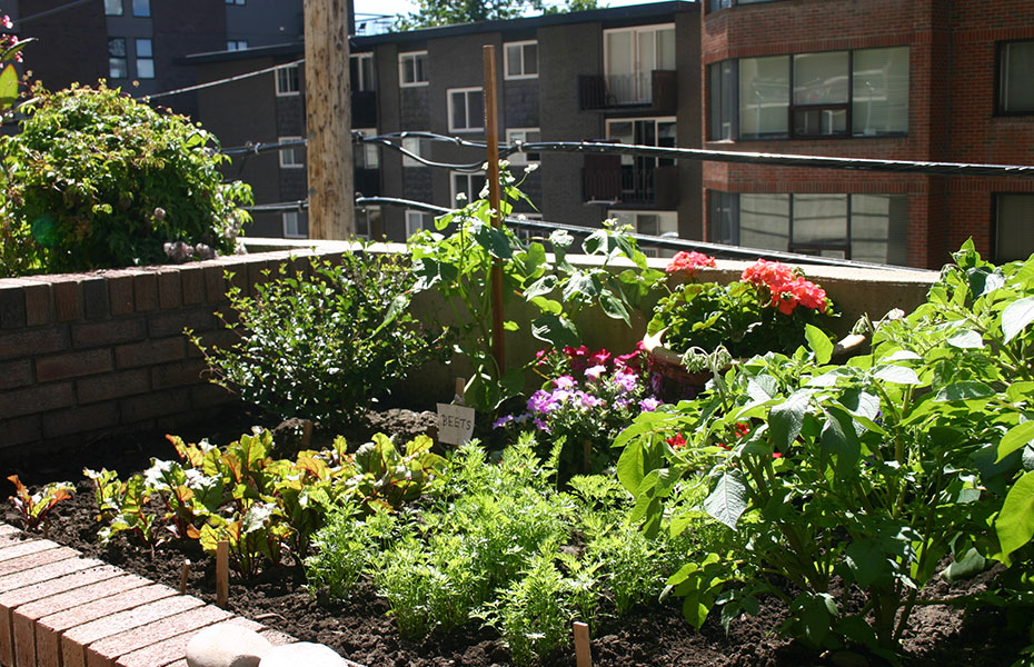 Urban Gardening