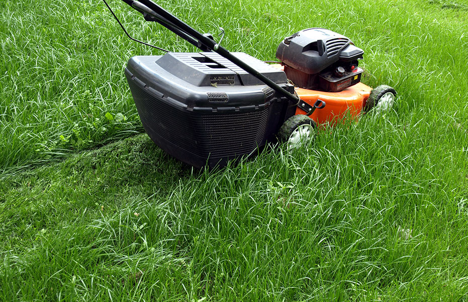 Garten  