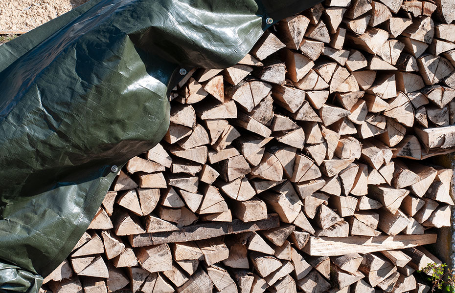Holz  