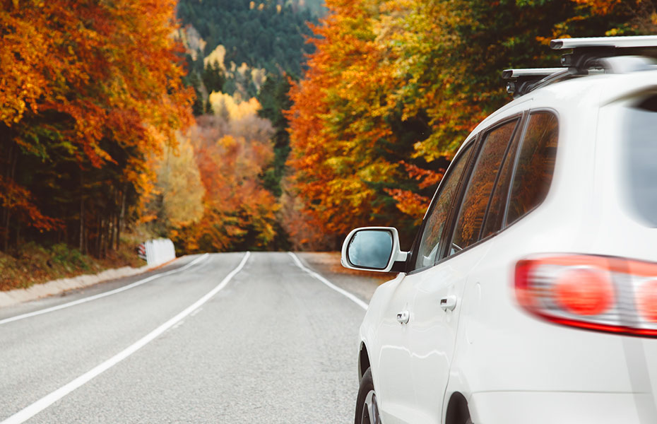 Autocheck im Herbst