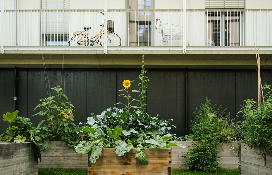 Urban Gardening