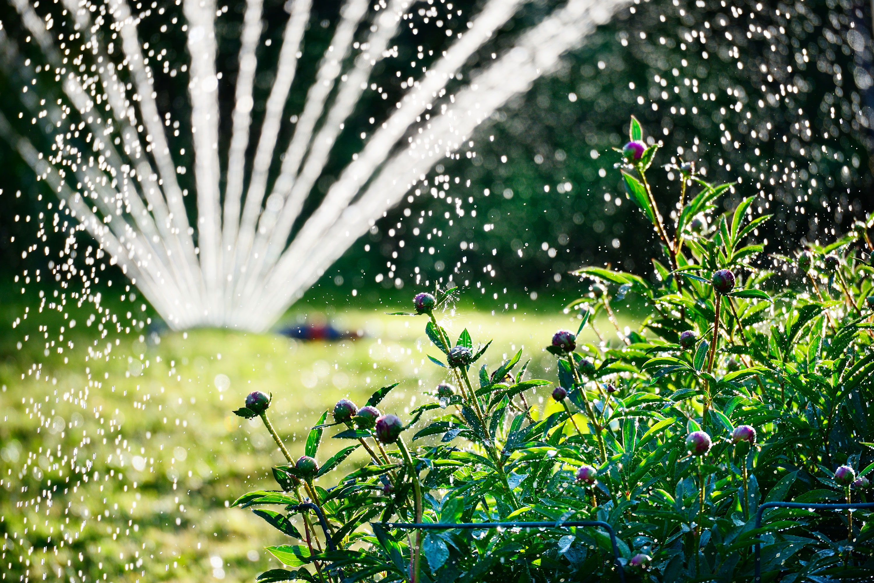 Gartenbewässerung