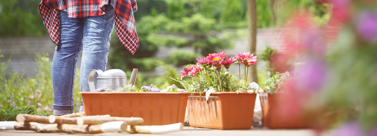 Garten