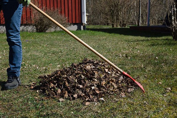 Gartenrechen