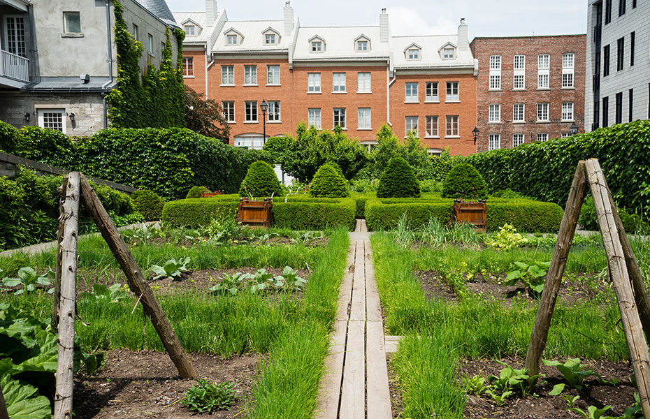 Urban Gardening