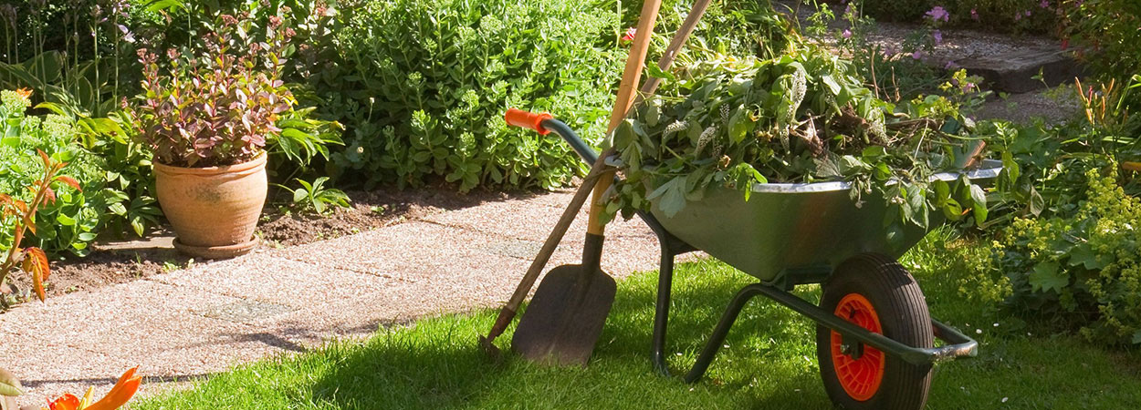 Garten