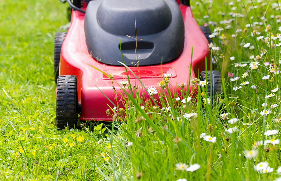 Garten  