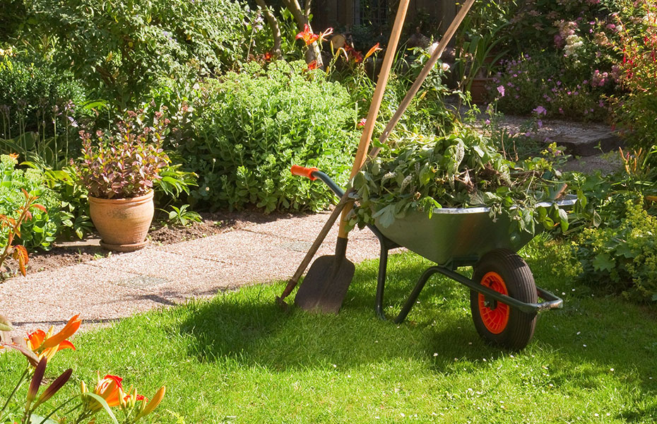 Garten fit machen