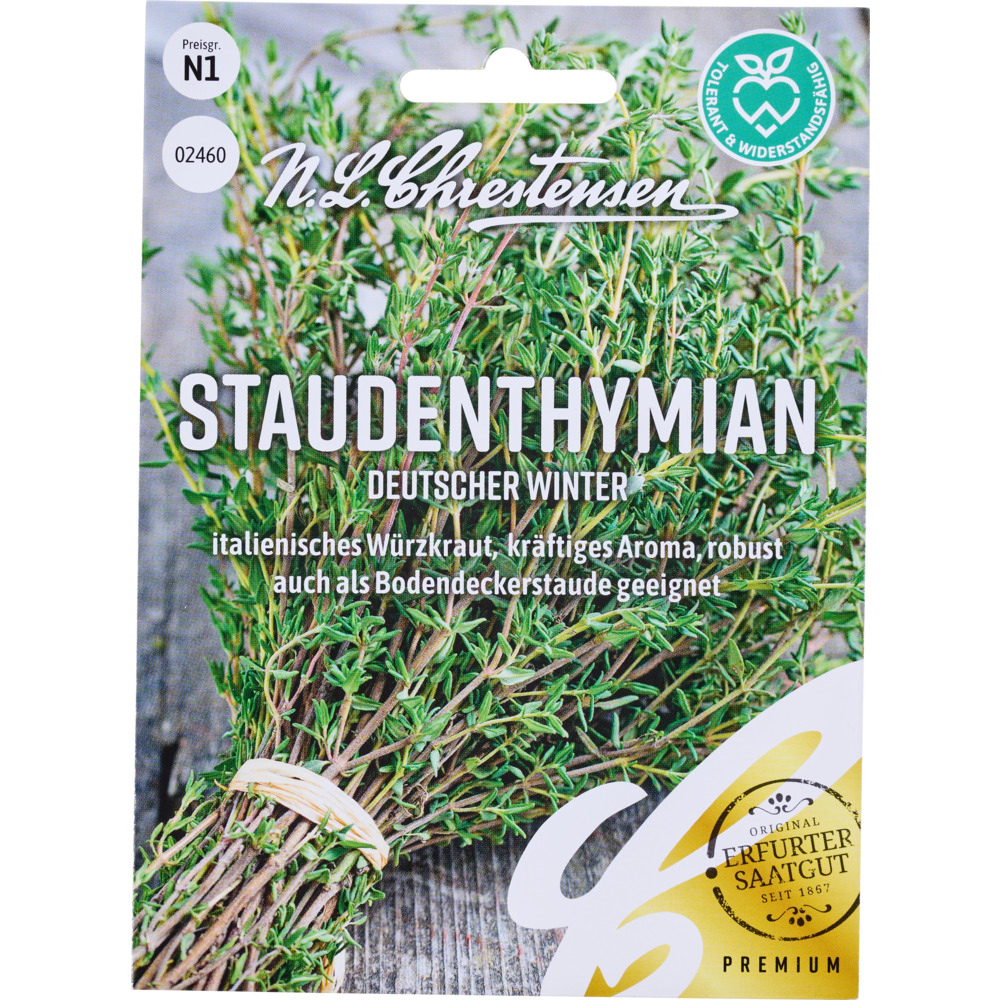 Saatgut Staudenthymian Deutscher Winter image number 0