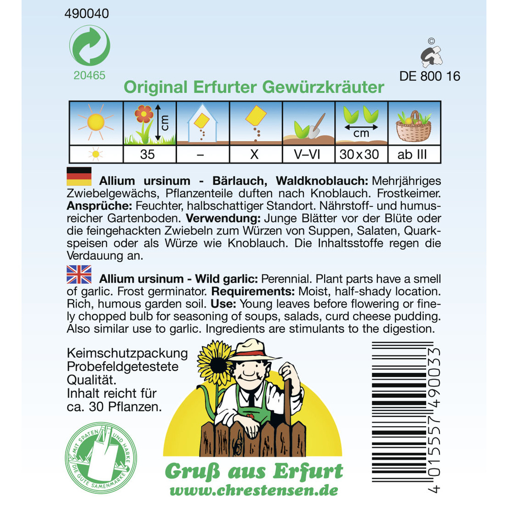 Saatgut Bärlauch ca. 30 Pflanzen image number 1