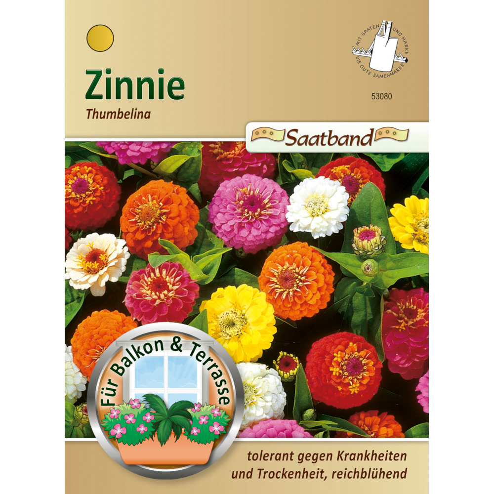 Saatband Zinnie Mix ca. 2 laufende Meter image number 0
