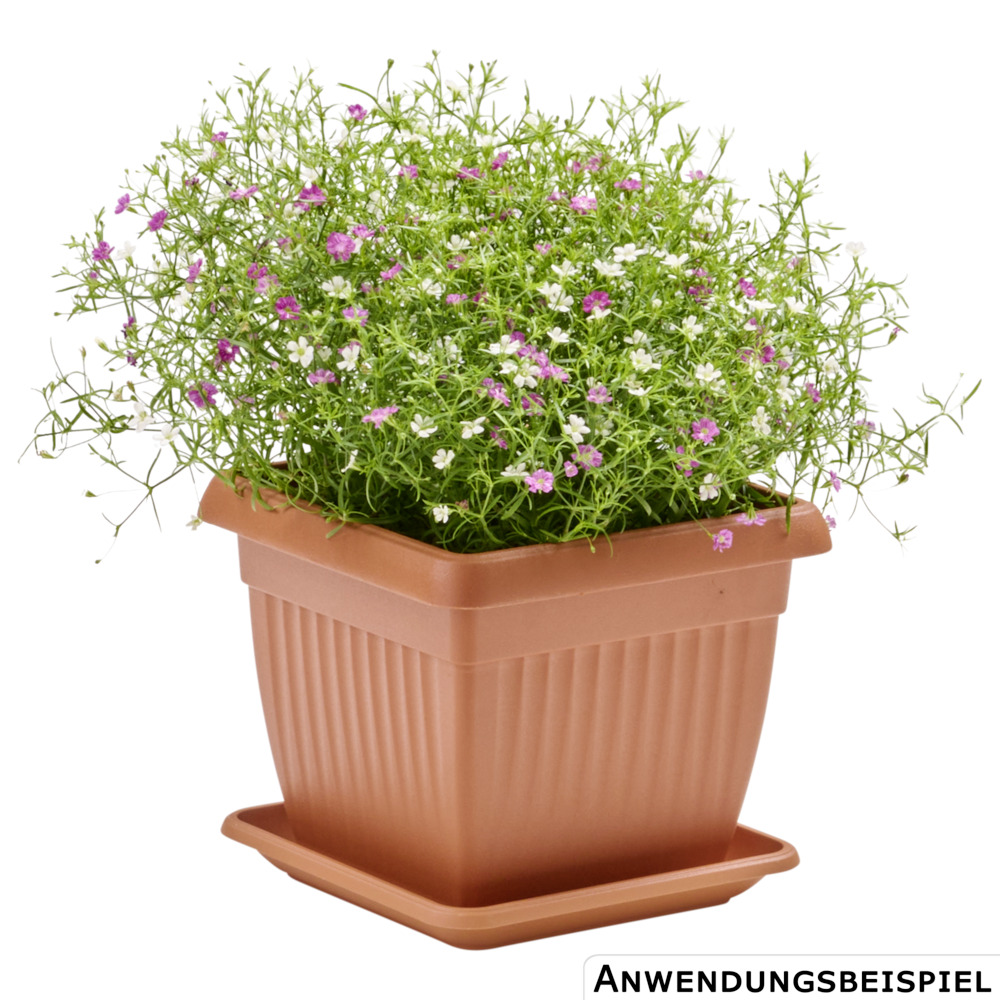 Prosperplast Untersetzer Terra eckig 14 x 14 cm in Terracotta image number 1
