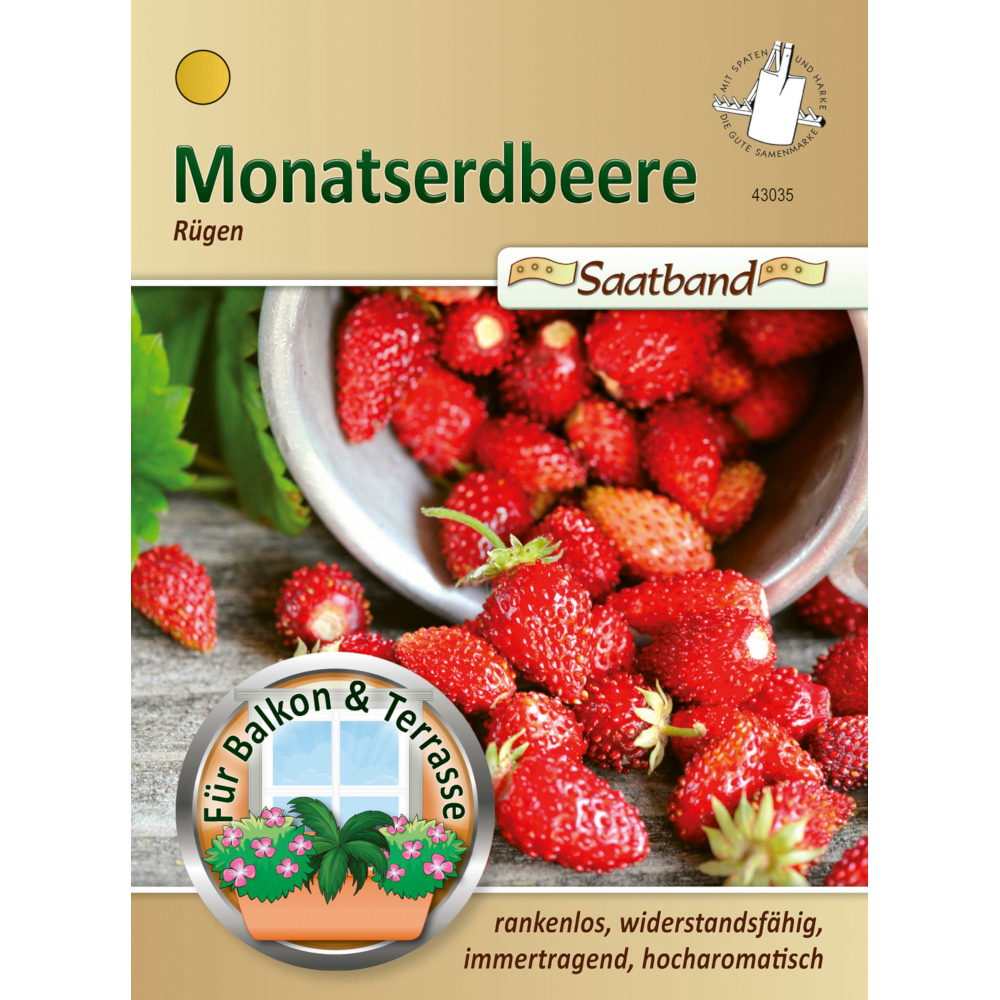 Saatband Monatserdbeere Rügen ca. 2 laufende Meter image number 0