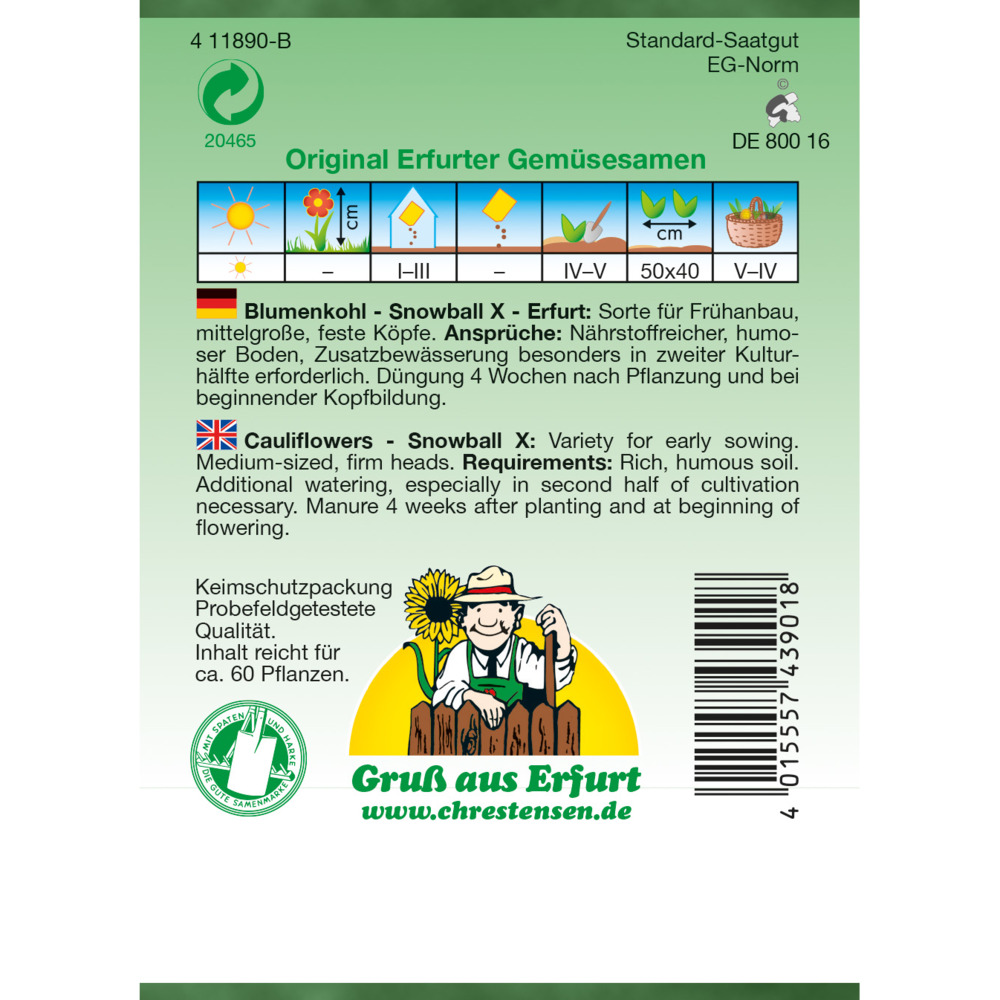 Saatgut Blumenkohl Snowball für ca. 60 Pflanzen image number 1