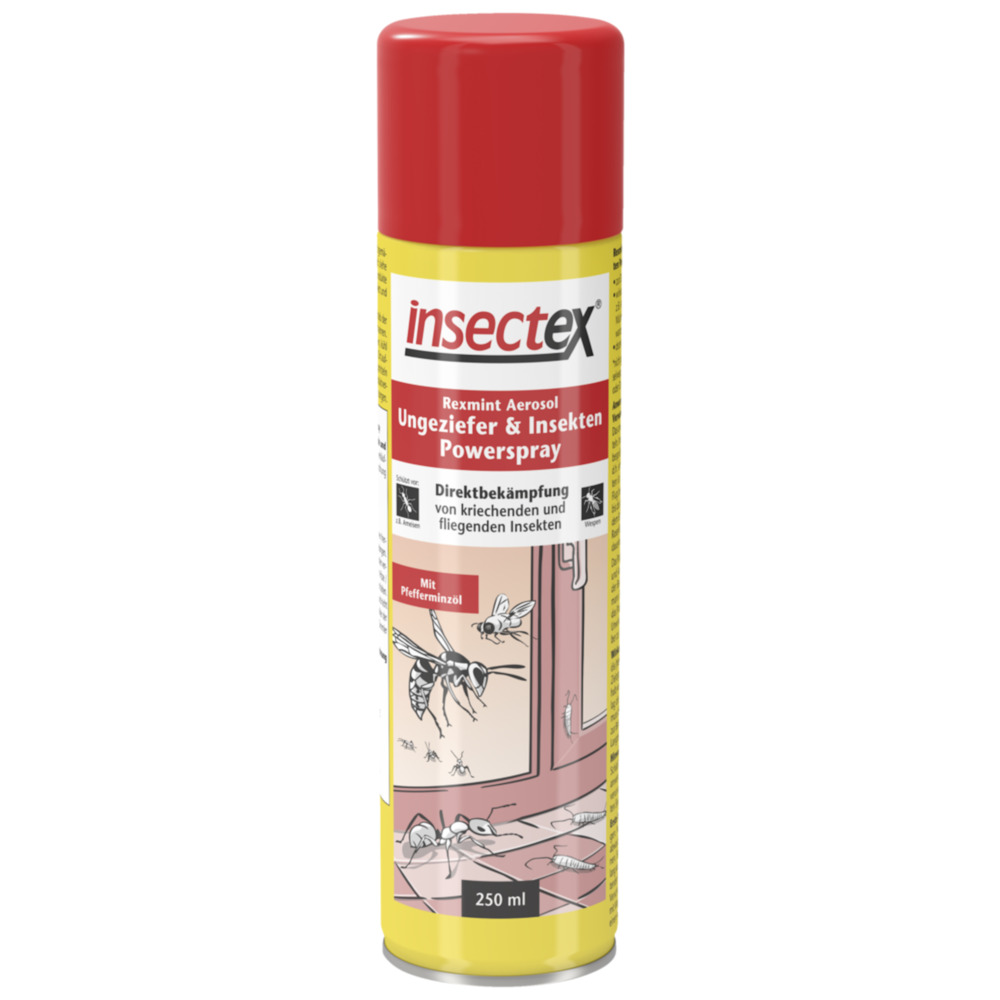 insectex® Ungeziefer- & Insekten-Powerspray 250 ml