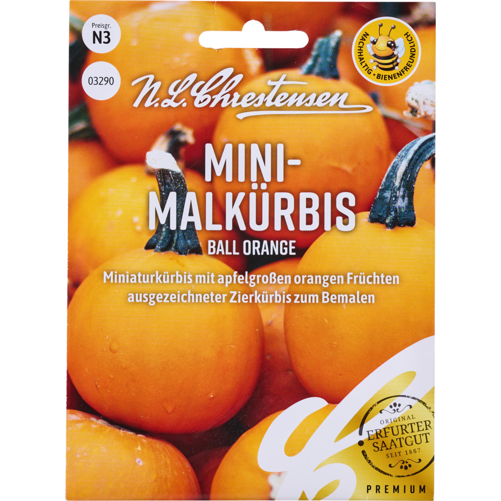 Saatgut Mini Malk&uuml;rbis Ball Orange image number 0