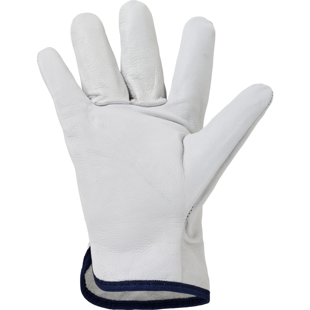 Handschuhe Driver Gr&ouml;&szlig;e 9, L aus Rindsvollleder in Hellgrau image number 2