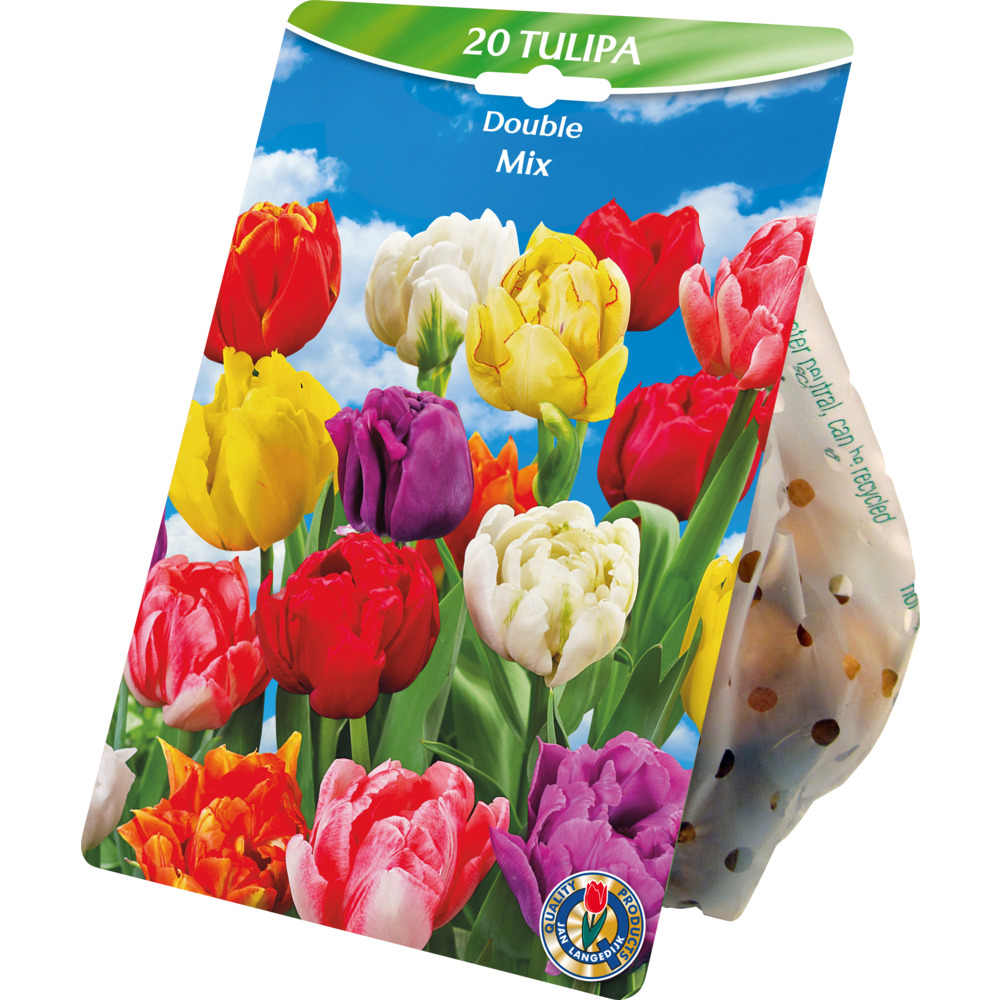 Blumenzwiebeln Tulpen "Double Mix" 20 St&uuml;ck, bunt