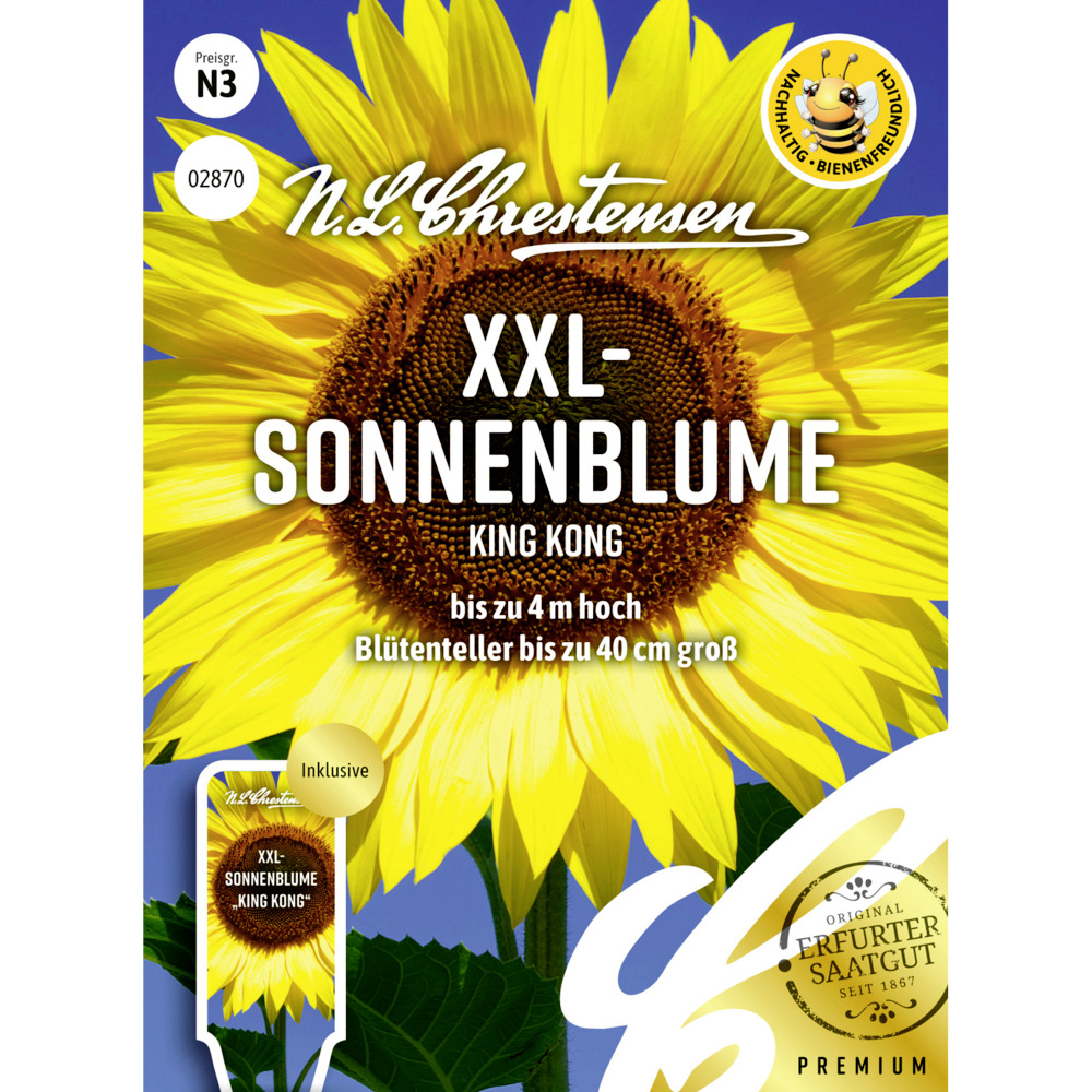 Saatgut XXL Sonnenblume King Kong image number 0