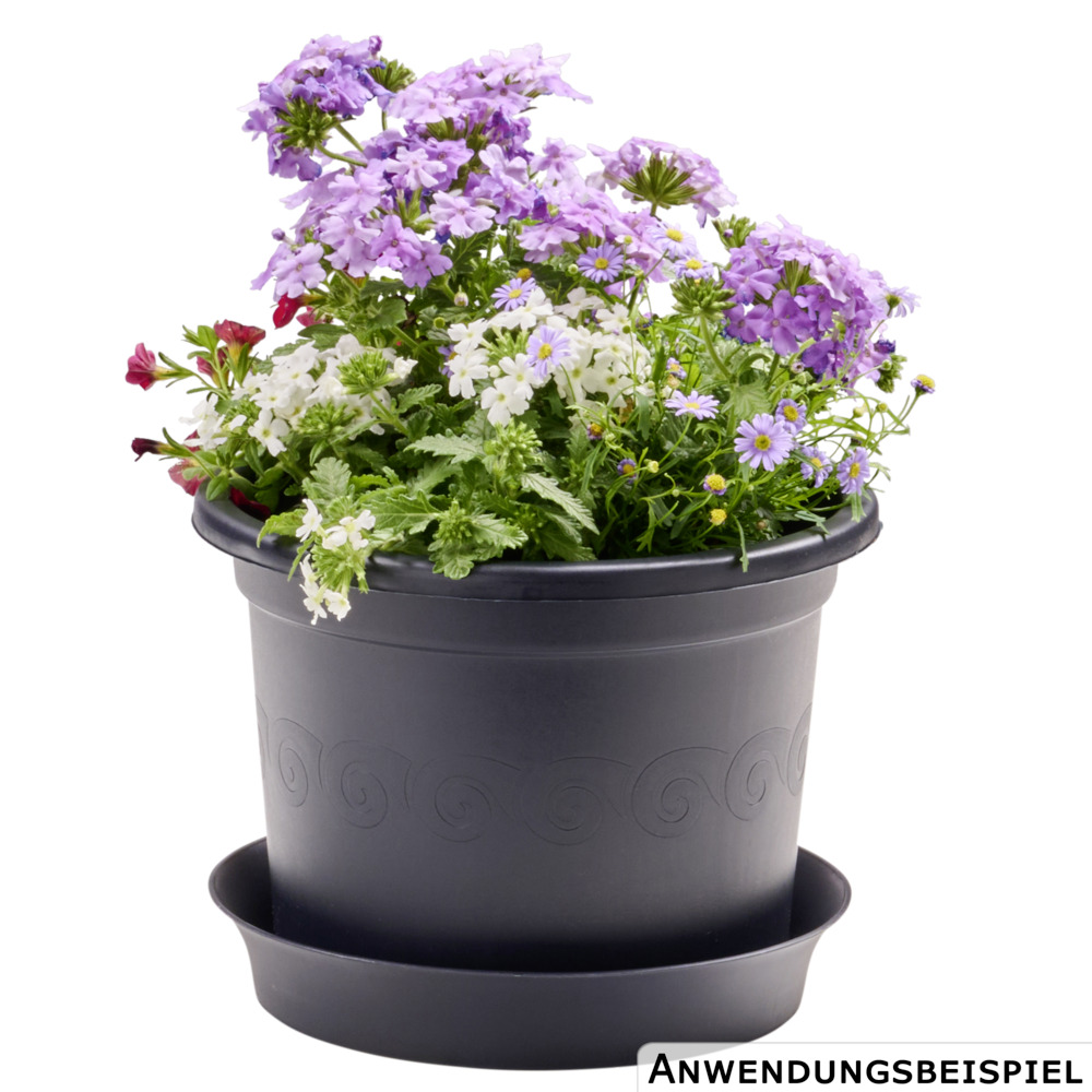 Prosperplast Blumentopf Plastica Ø 23 cm in anthrazit image number 1
