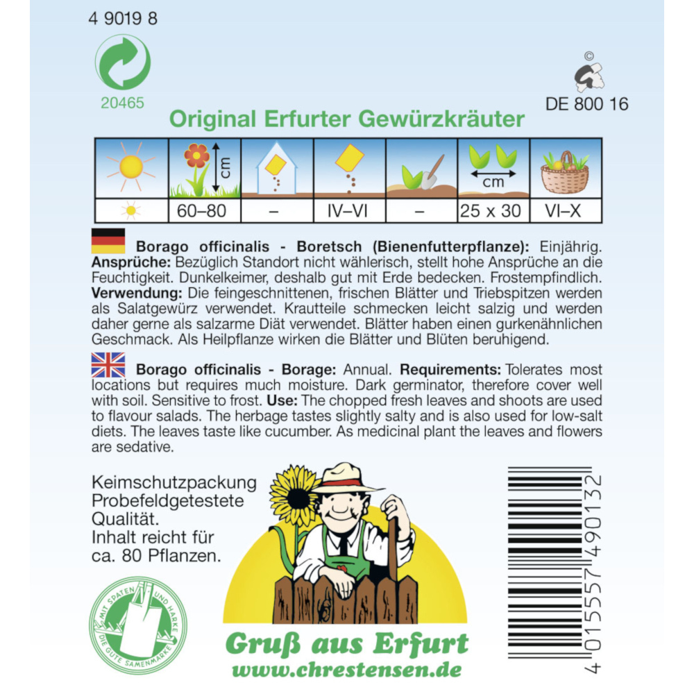 Saatgut Boretsch ca. 80 Pflanzen image number 1