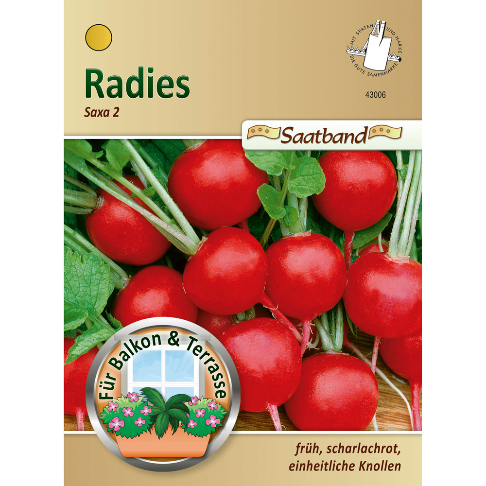 Saatband Radies Saxa ca. 2 laufende Meter