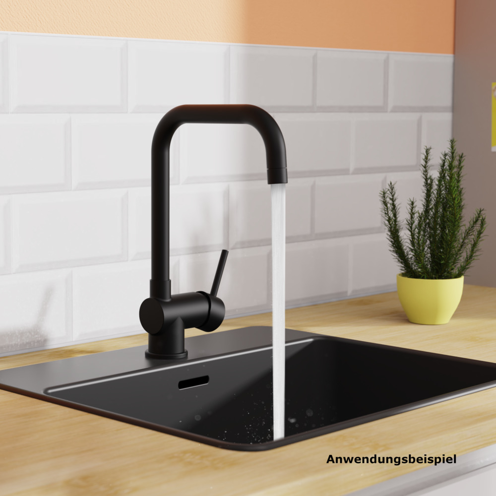 FUTURA Sp&uuml;ltischarmatur image number 4