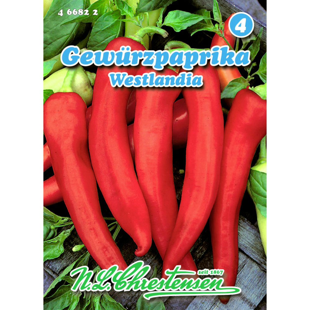 Saatgut Gewürzpaprika Westlandia ca. 50 Pflanzen image number 0