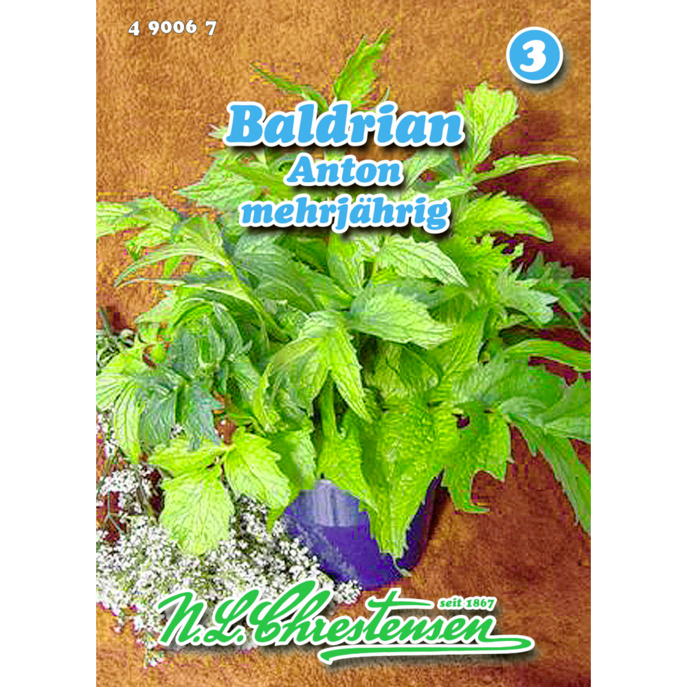 Saatgut Baldrian Anton ca. 200 Pflanzen image number 0
