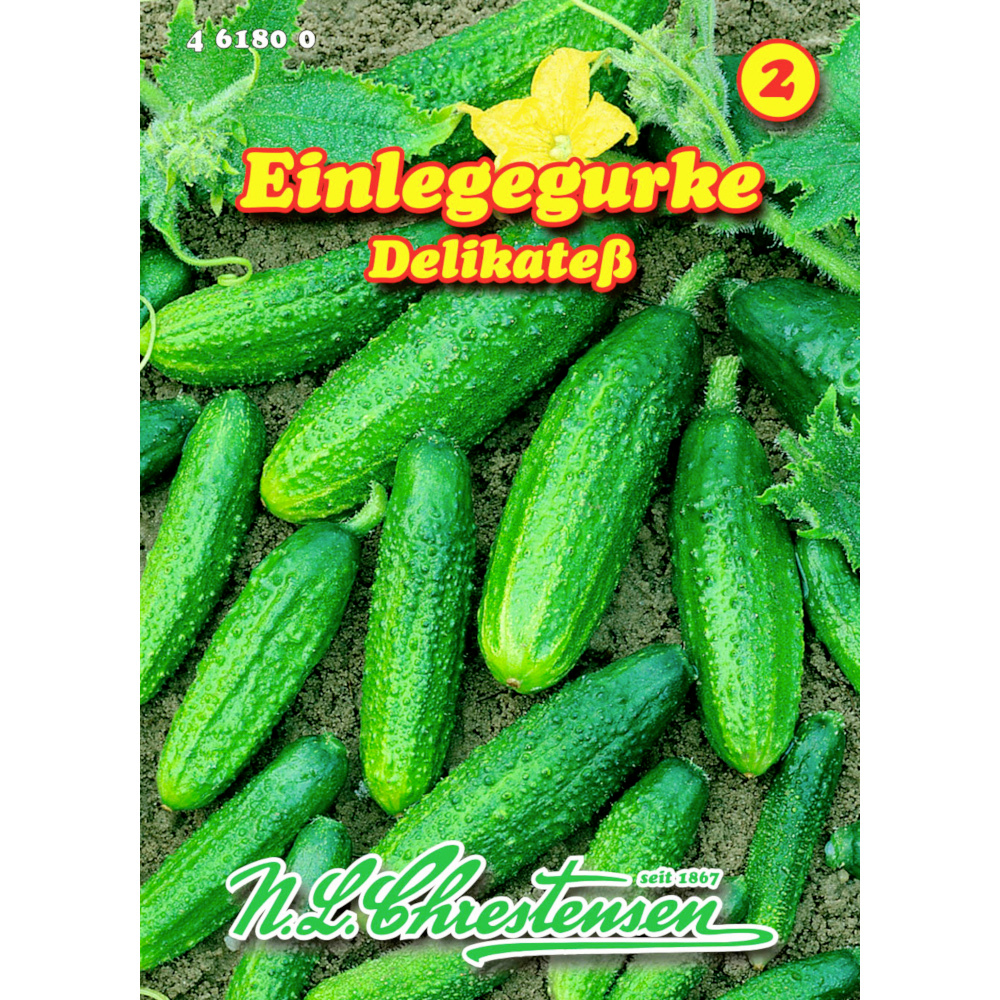 Saatgut Einlegegurke Delikateß ca. 30 Pflanzen image number 0