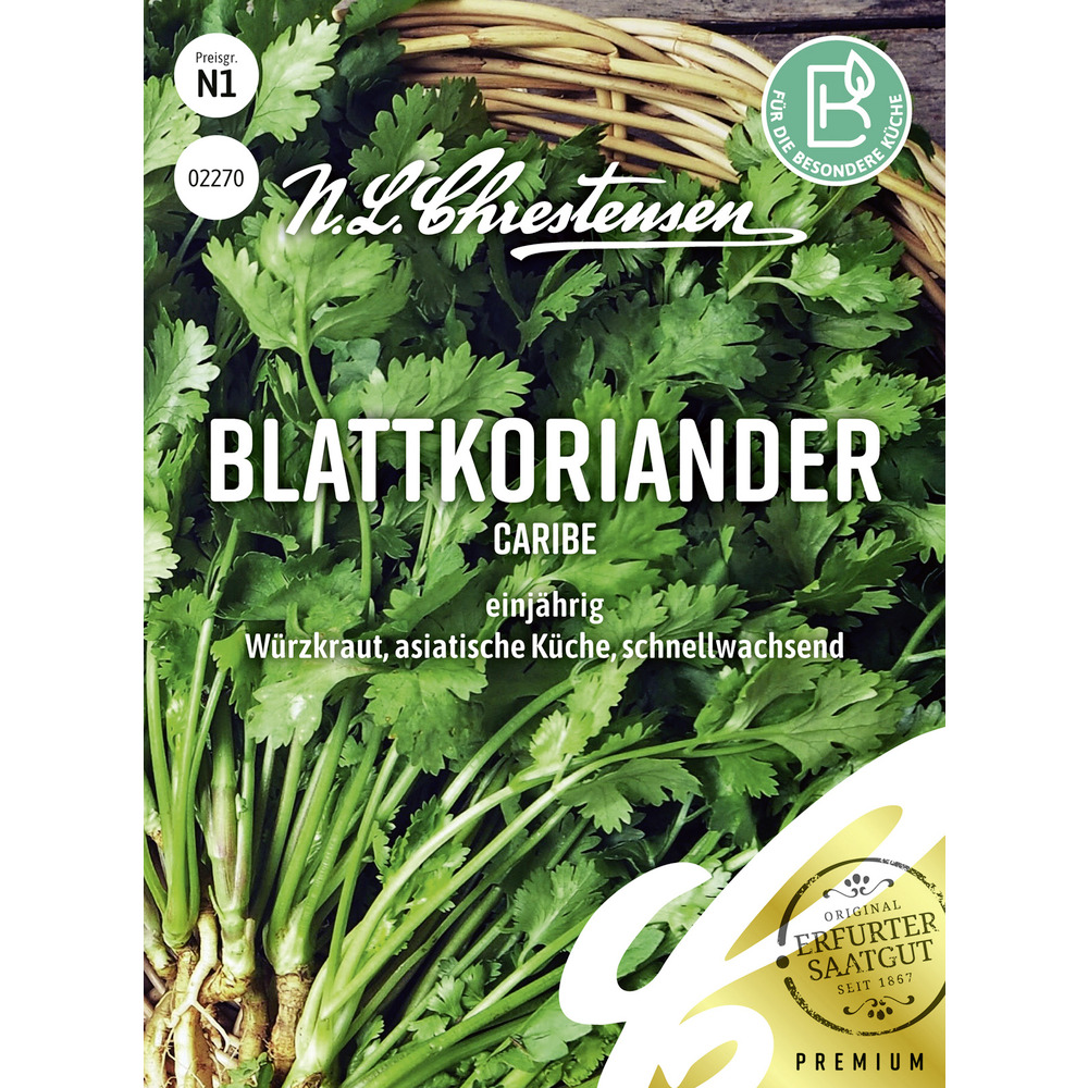 Saatgut Blattkoriander Caribe ca. 80 Pflanzen image number 0