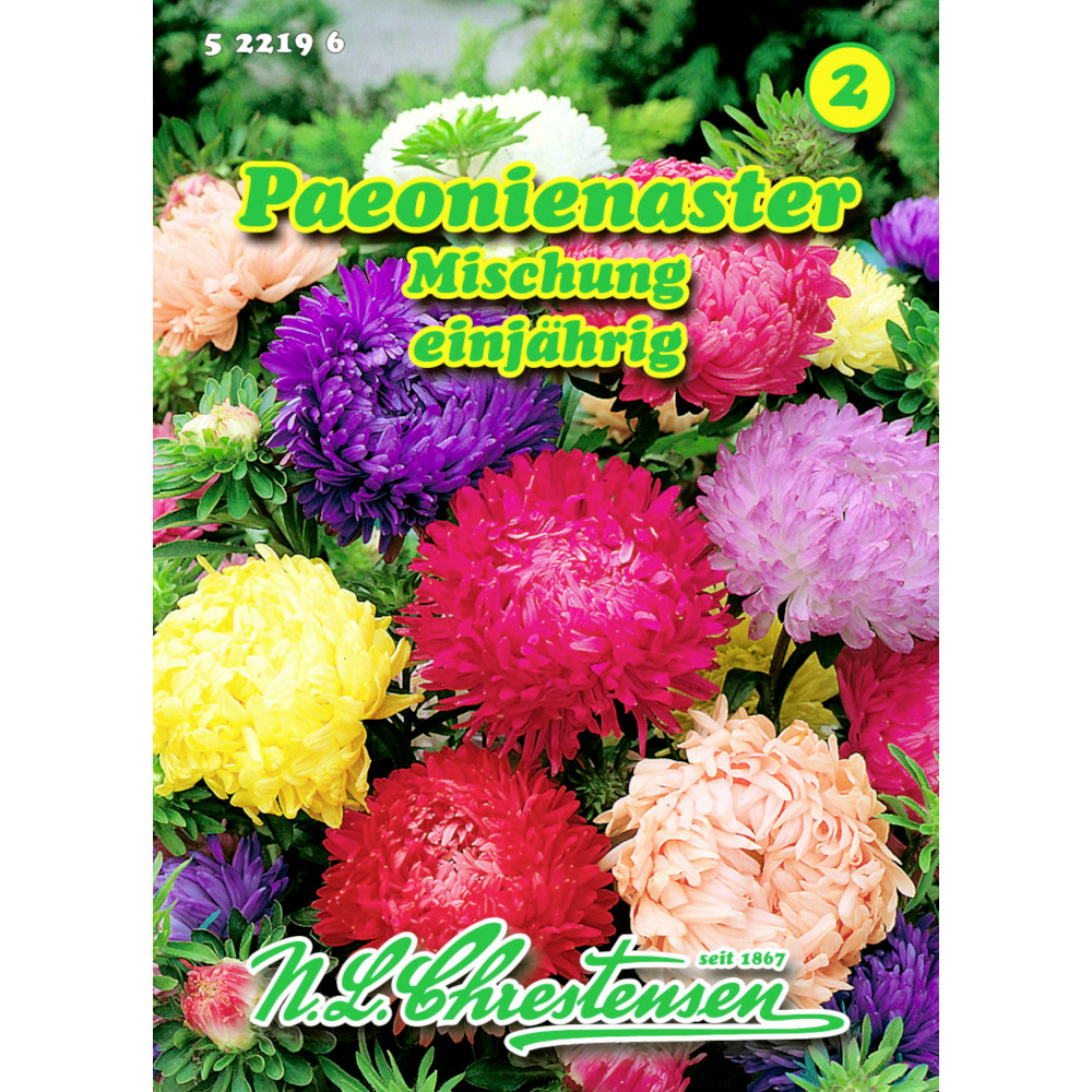 Saatgut Paeonienaster Mix ca. 80 Pflanzen bunt image number 0