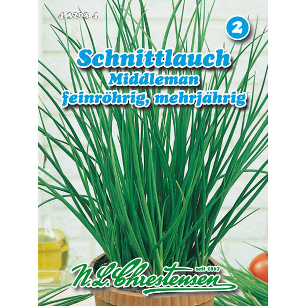 Saatgut Schnittlauch Middleman ca. 100 Pflanzen image number 0