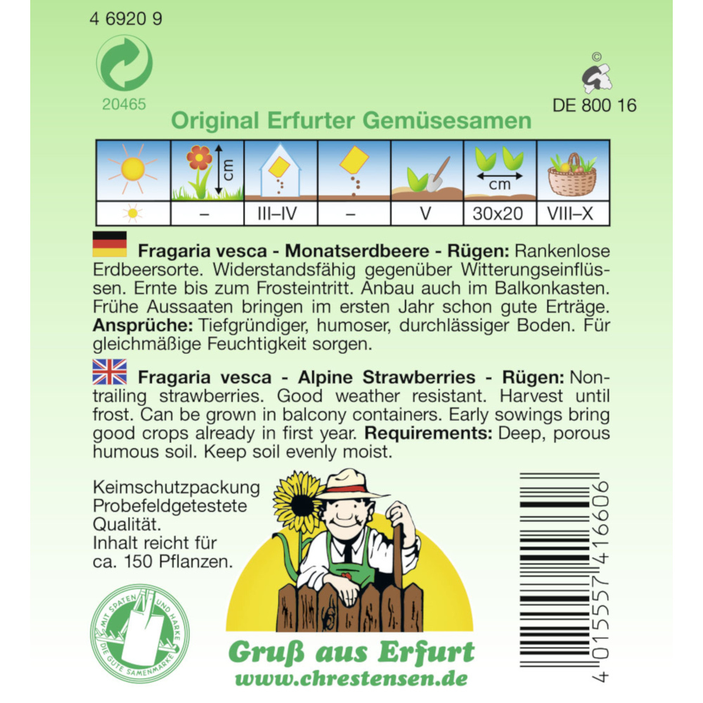 Saatgut Monatserdbeere Rügen ca. 150 Pflanzen image number 1