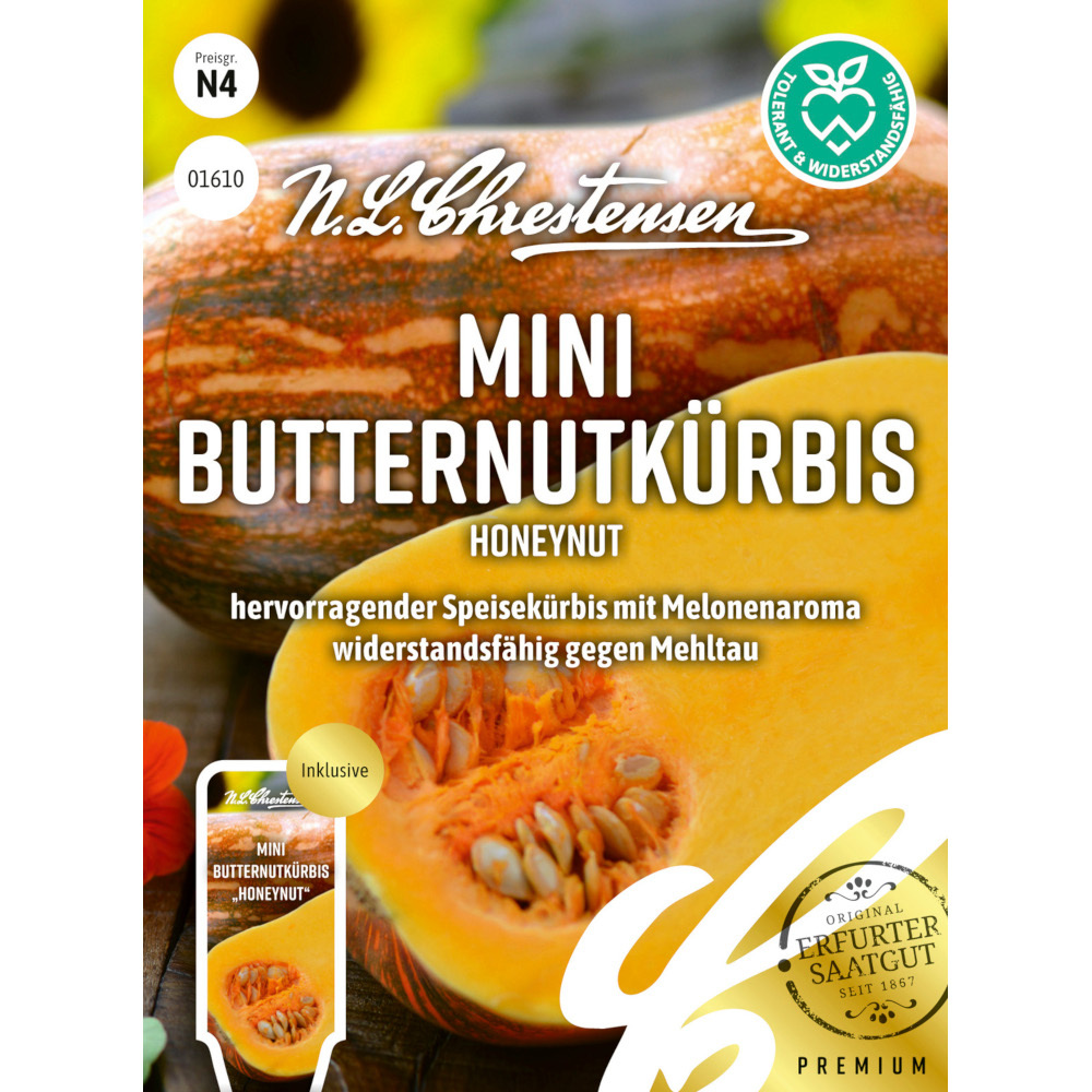 Saatgut Mini Butternutkürbis Honeynut image number 0