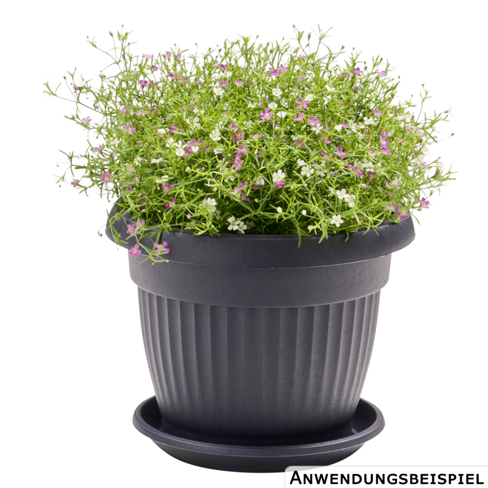Prosperplast Blumentopf Terra rund 20 cm in anthrazit image number 1