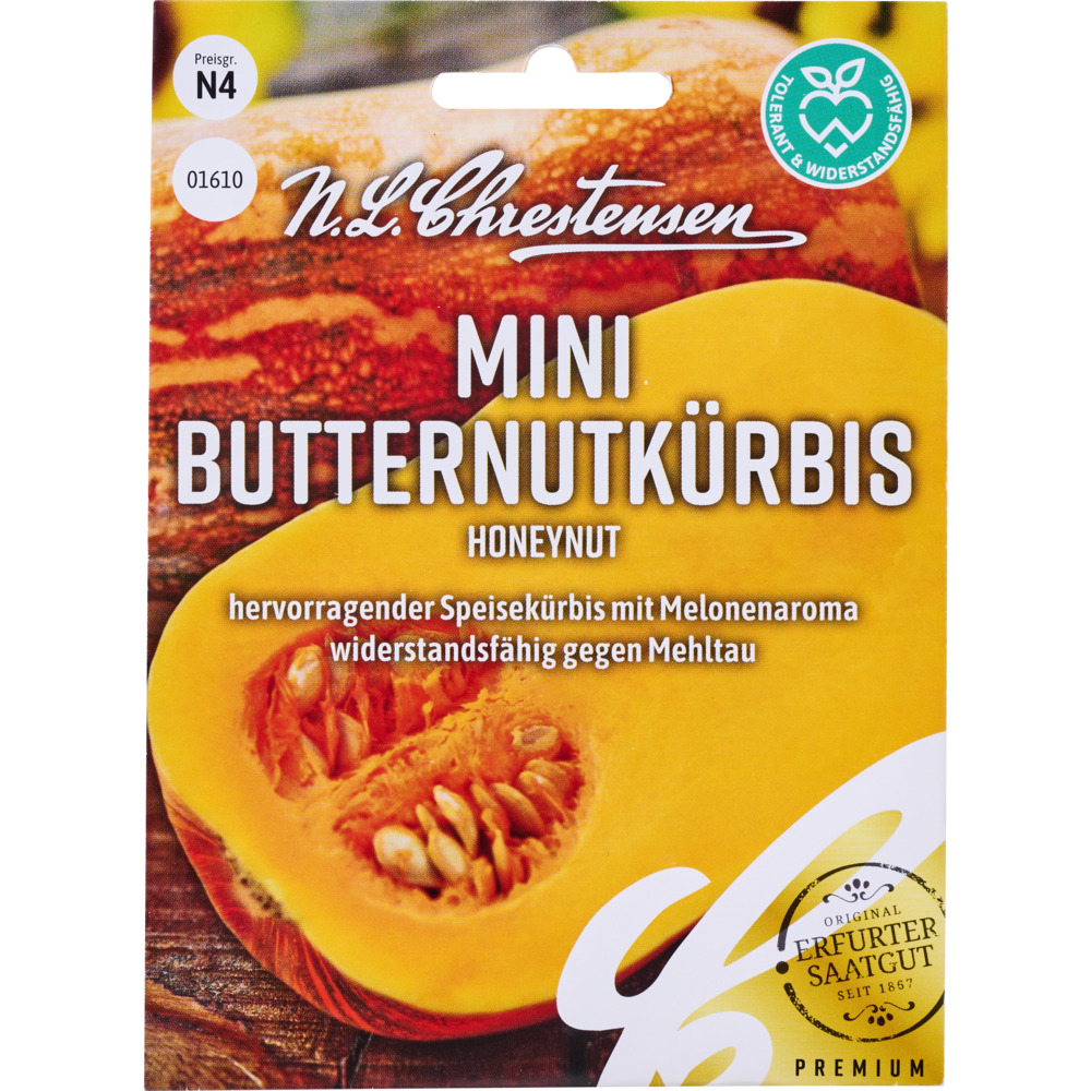 Saatgut Mini Butternutk&uuml;rbis Honeynut image number 0