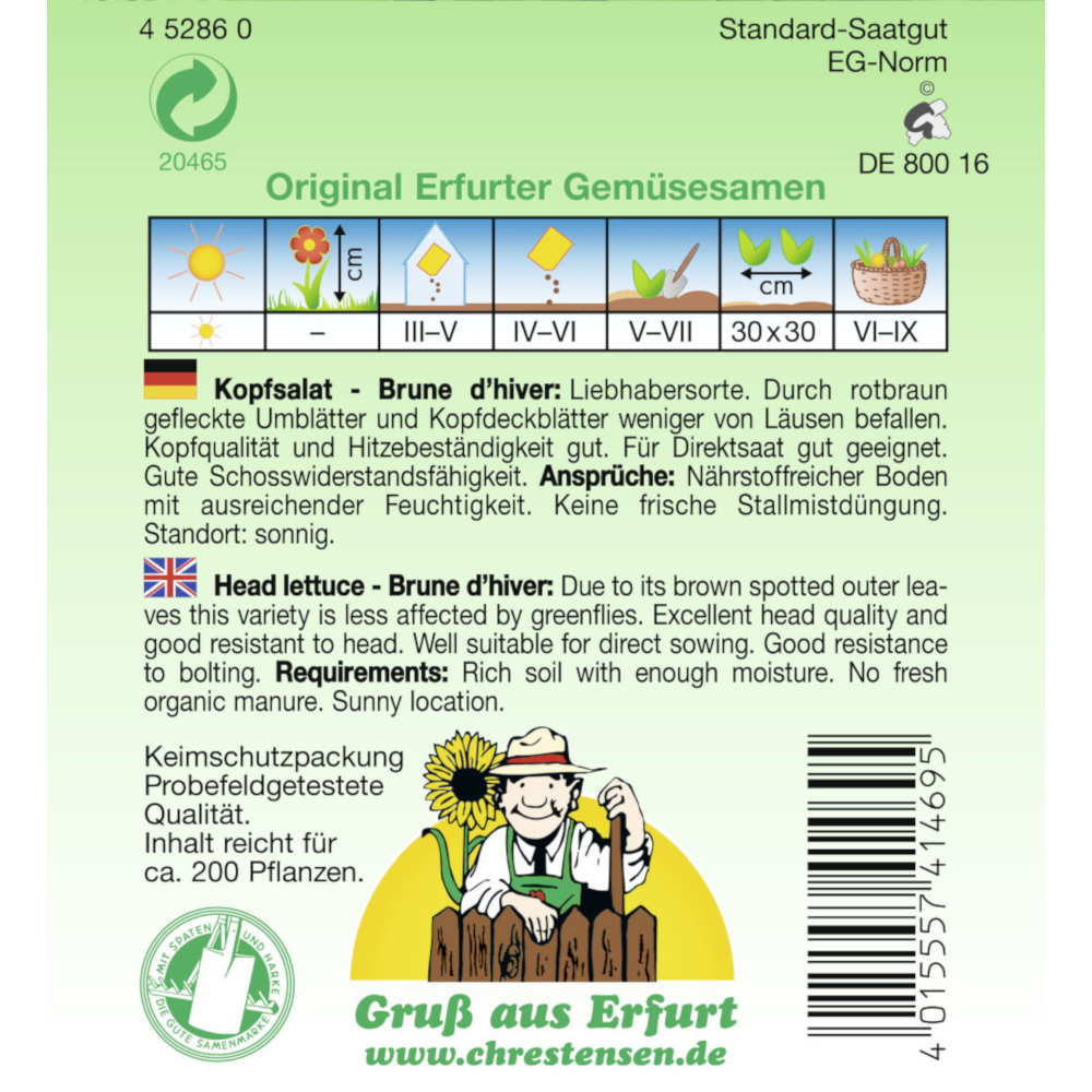 Saatgut Kopfsalat brauner Trotzkopf ca. 200 Pflanzen image number 1
