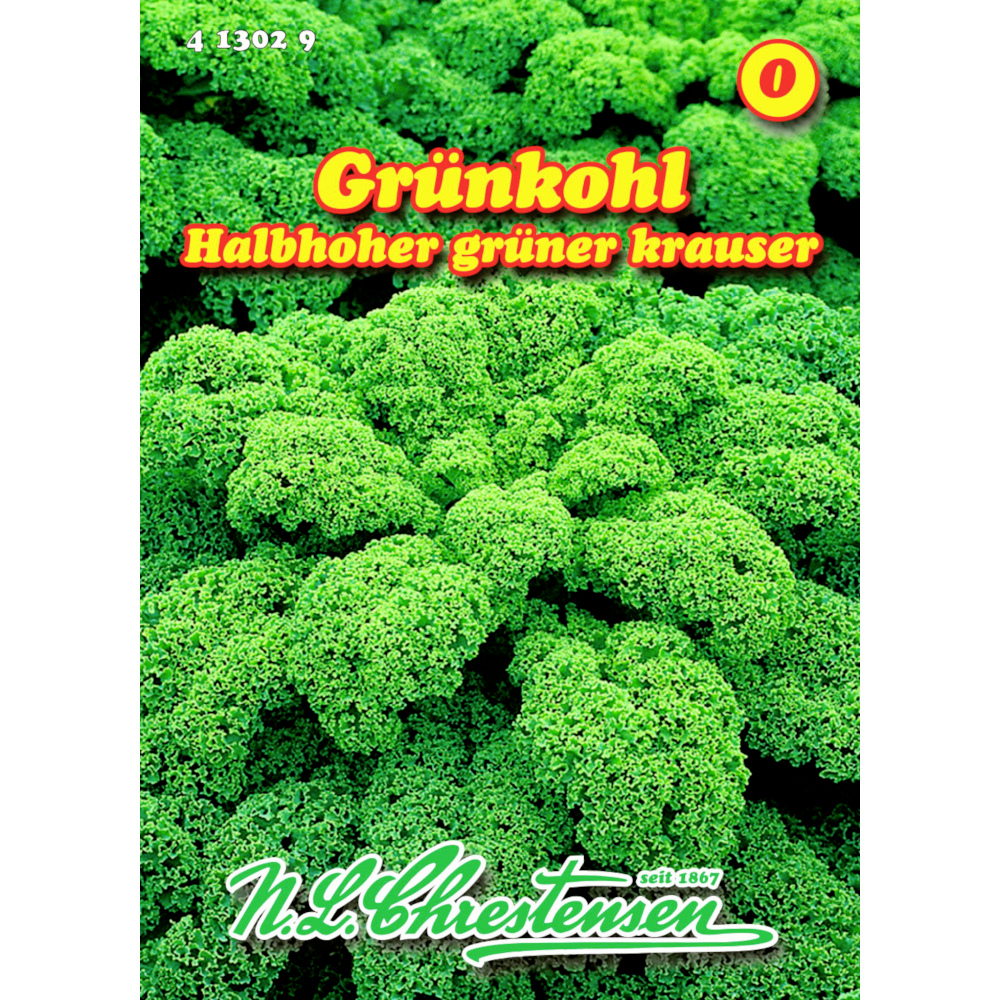 Saatgut Grünkohl ca. 150 Pflanzen