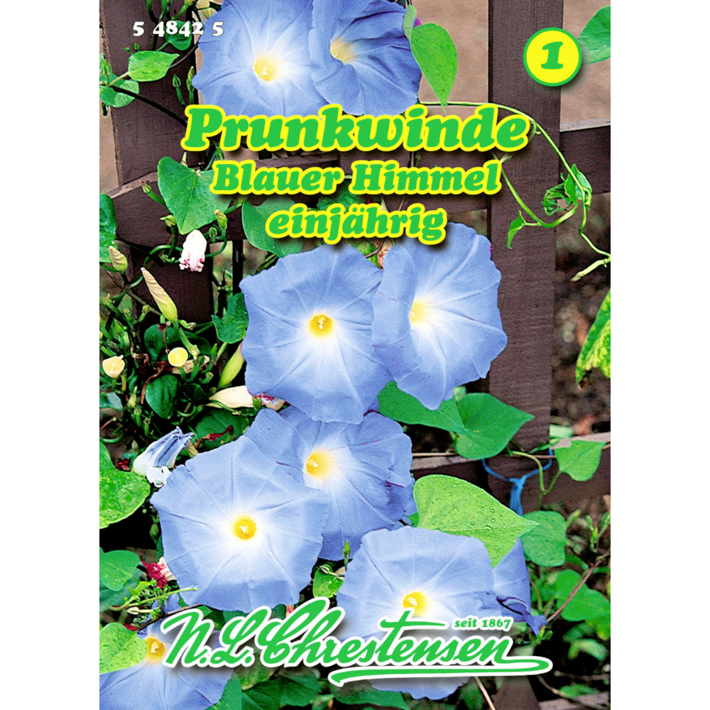Saatgut Prunkwinde Blauer Himmel ca. 30 Pflanzen image number 0