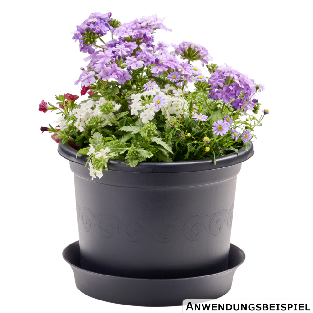 Prosperplast Untersetzer Plastica rund Ø 22 cm in anthrazit image number 1