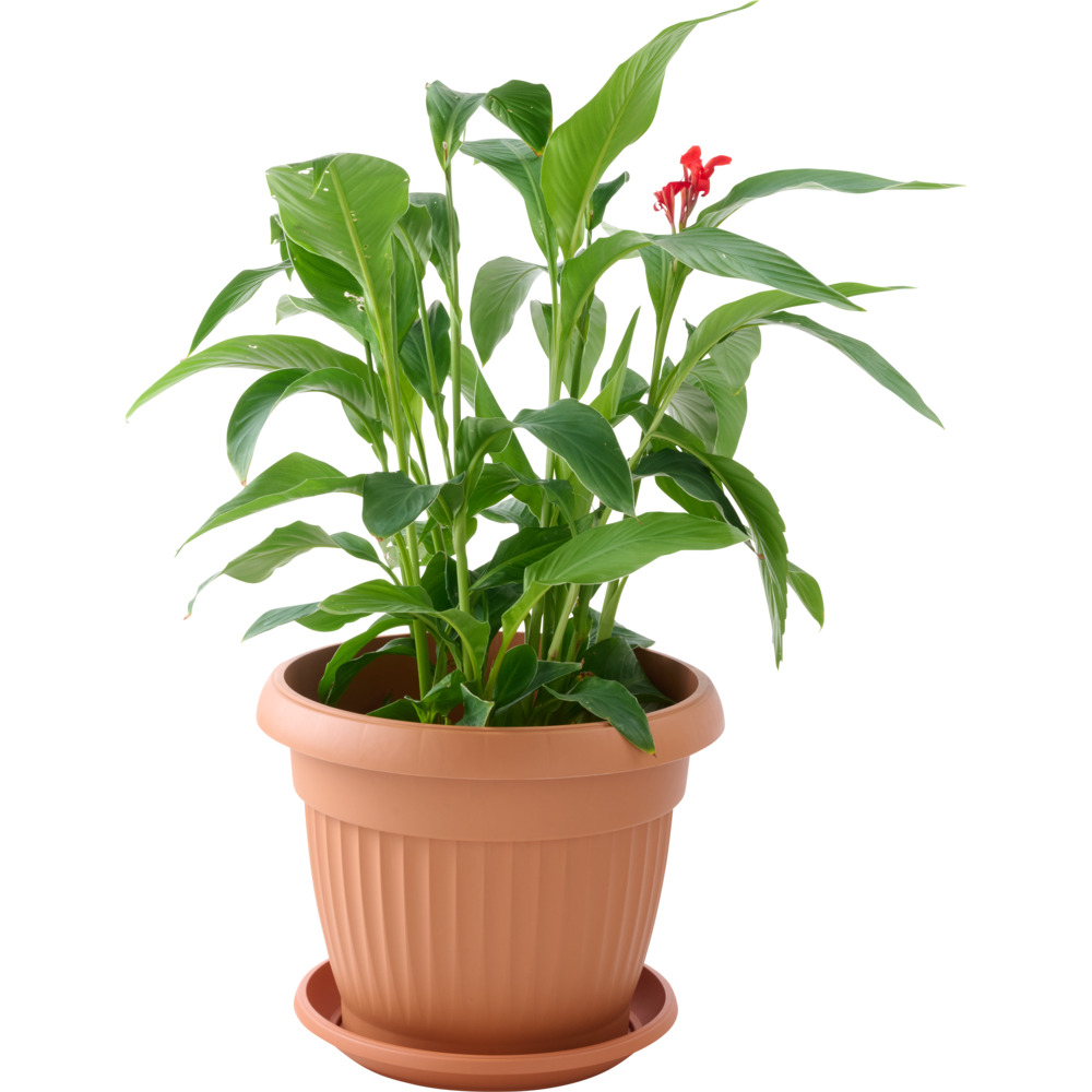 Prosperplast Blumentopf Terra rund 50 cm in terracotta image number 1