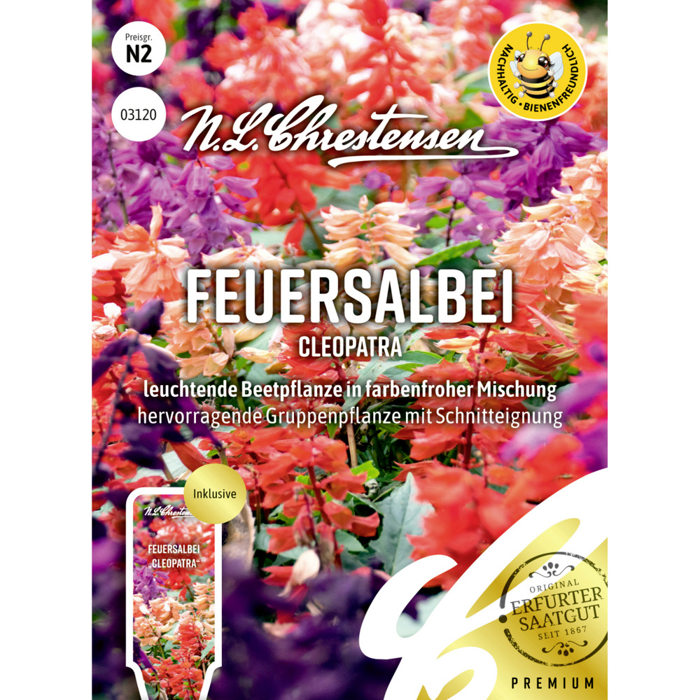 Saatgut Feuersalbei Cleopatra
