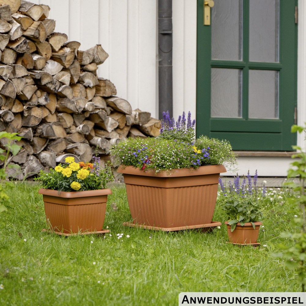 Prosperplast Blumentopf Terra eckig 30 x 30 cm in Terracotta image number 2