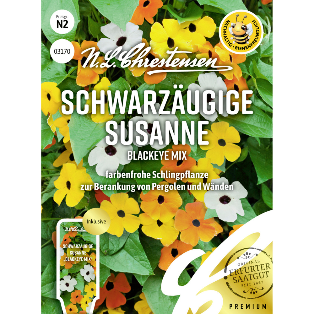 Saatgut Schwarzäugige Susanne Blackeye Mix image number 0