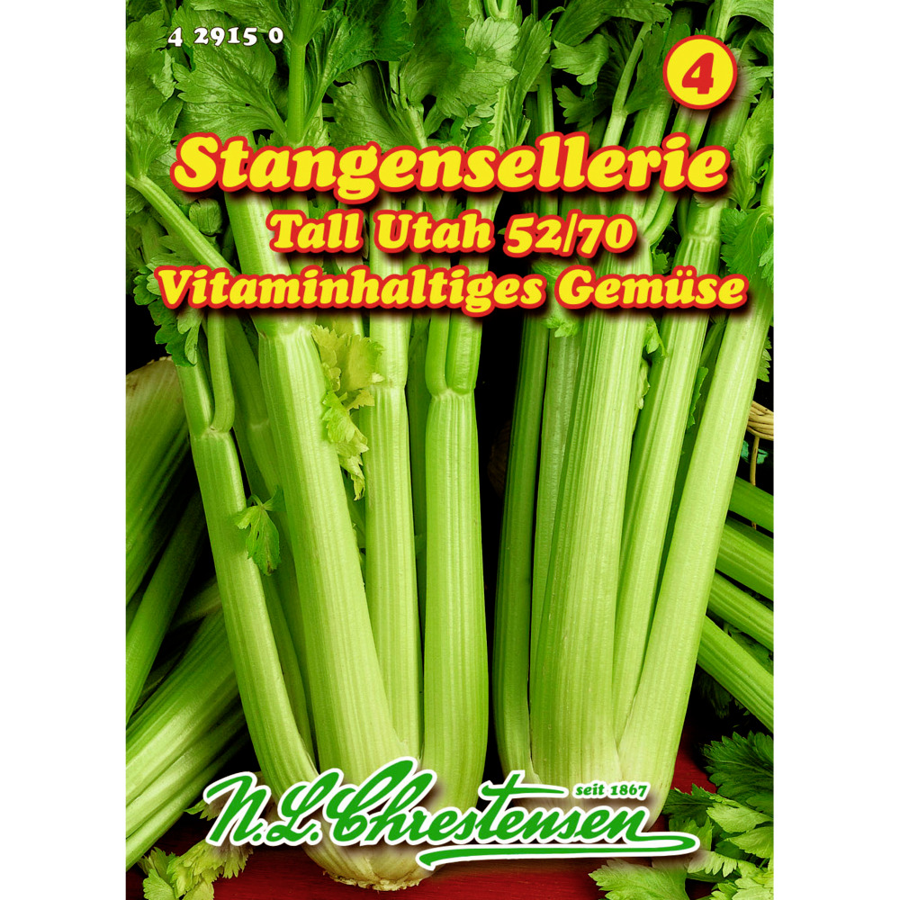 Saatgut Stangensellerie Tall Utah ca. 200 Pflanzen image number 0
