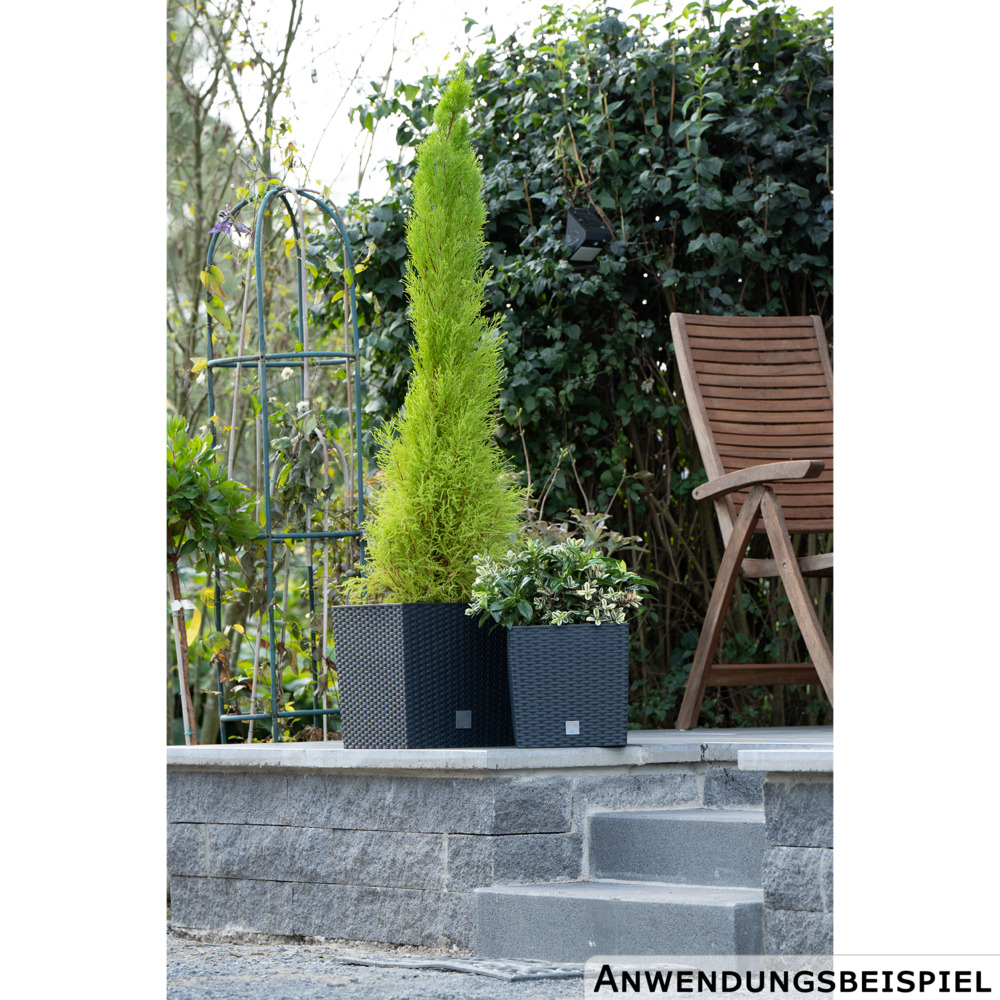 Prosperplast Pflanztopf Rato Low 26,2 x 26,2 x 26,6 cm in Anthrazit image number 5
