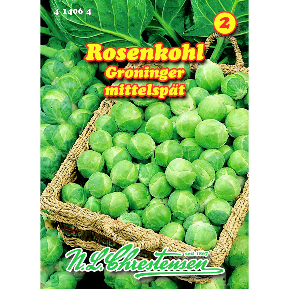 Saatgut Rosenkohl Groninger ca. 120 Pflanzen image number 0